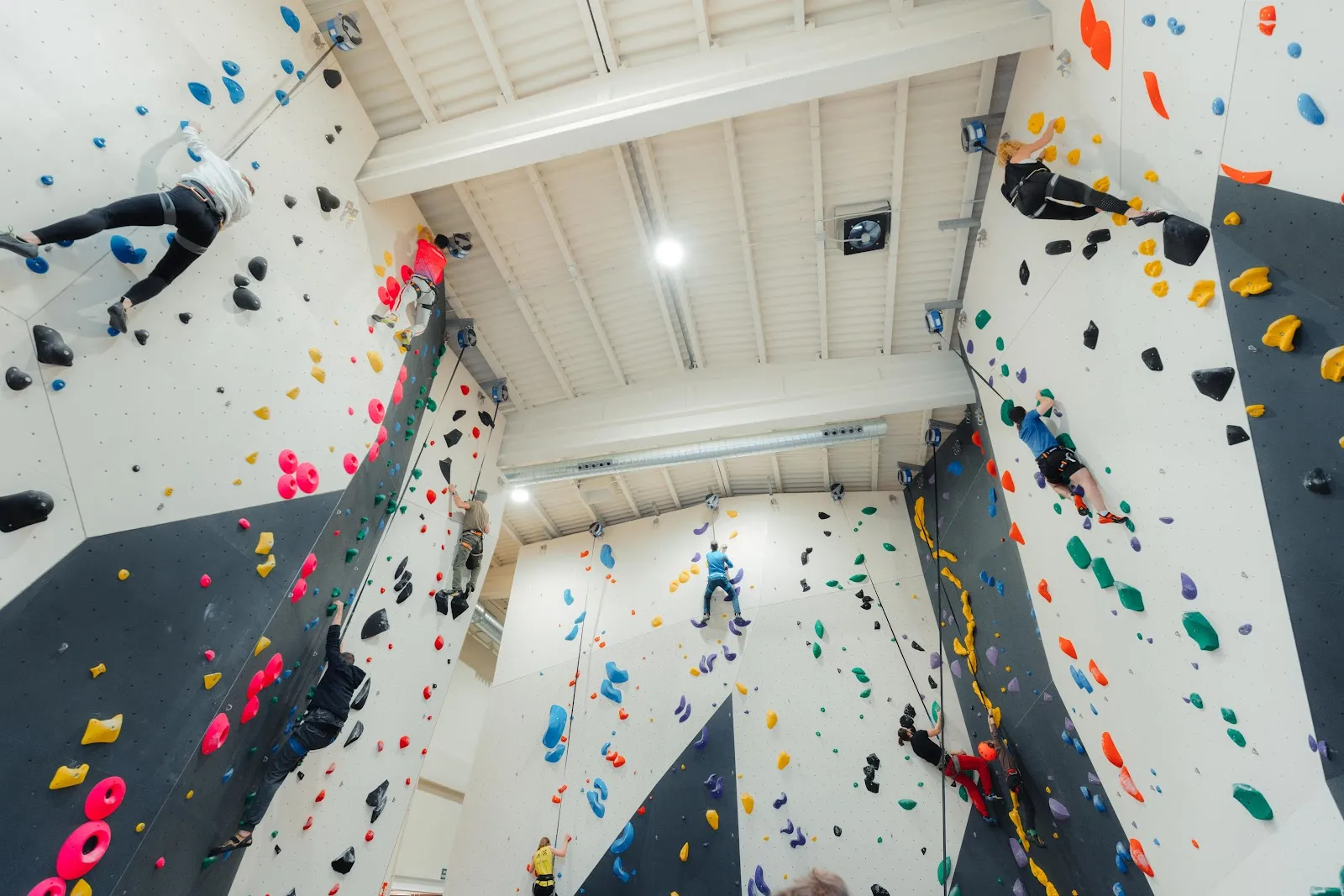 Cal Mico Rocódromo Girona — escalada-studio en Eixample, Girona — 2