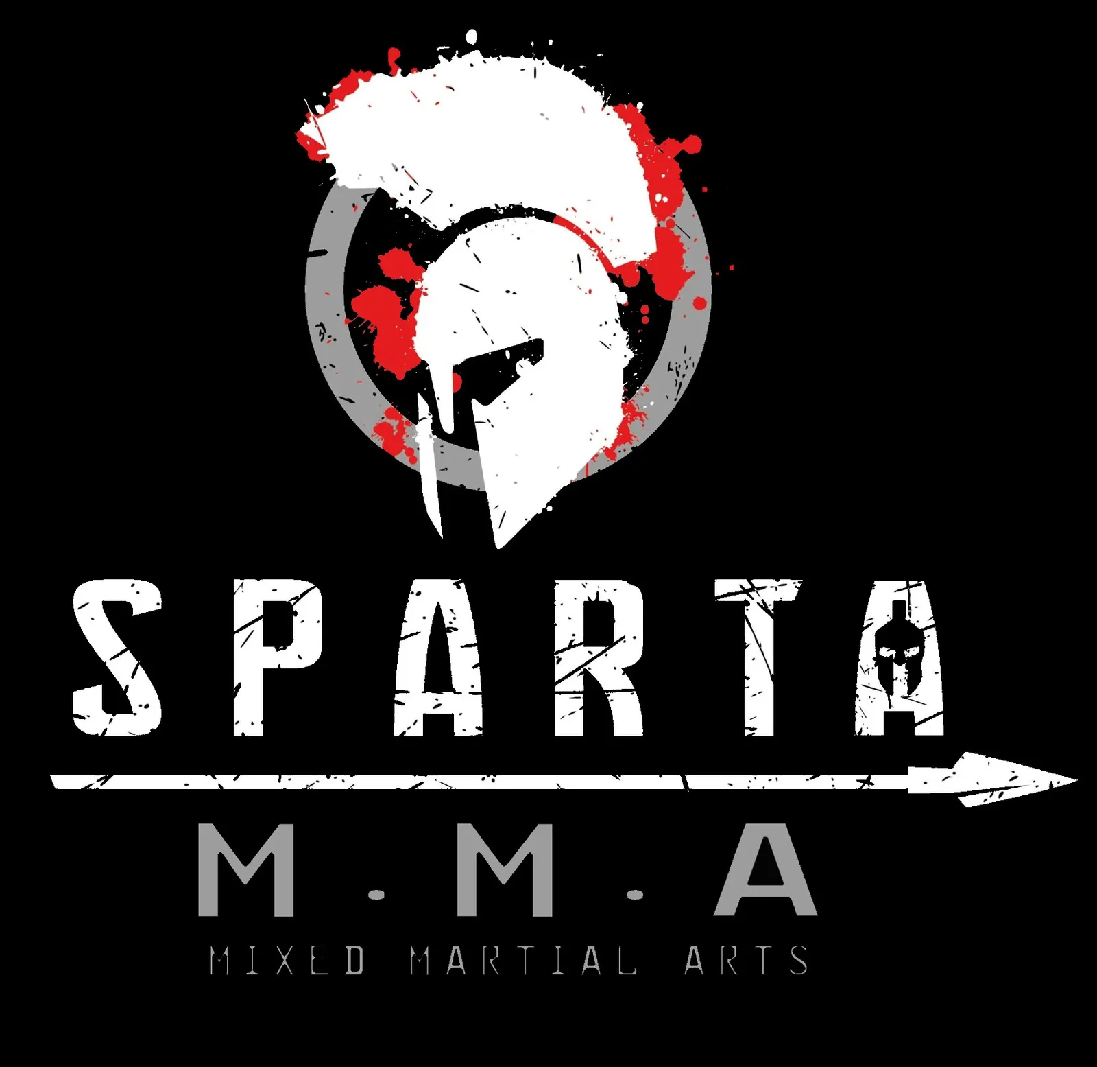 Sparta MMA - MIXED MARTIAL ARTS ACADEMY — kampsport-studio i Toledo — bild 2