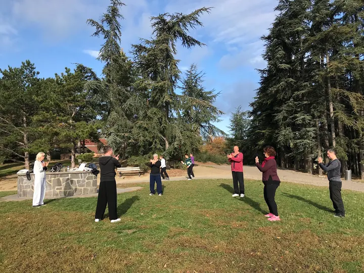 Association Clermontoise de Tai Chi Chuan — Arts martiaux à Plateau central, Clermont-Ferrand
