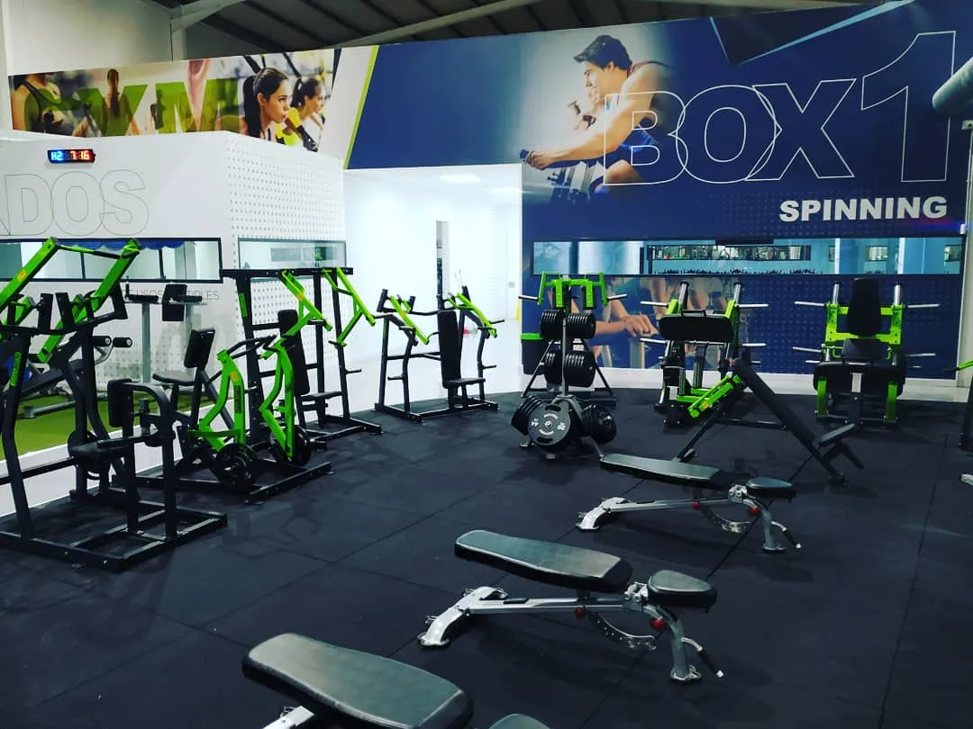 Gym Fitness Los Álamos — estudio de fitness-studio en Lorca — 3