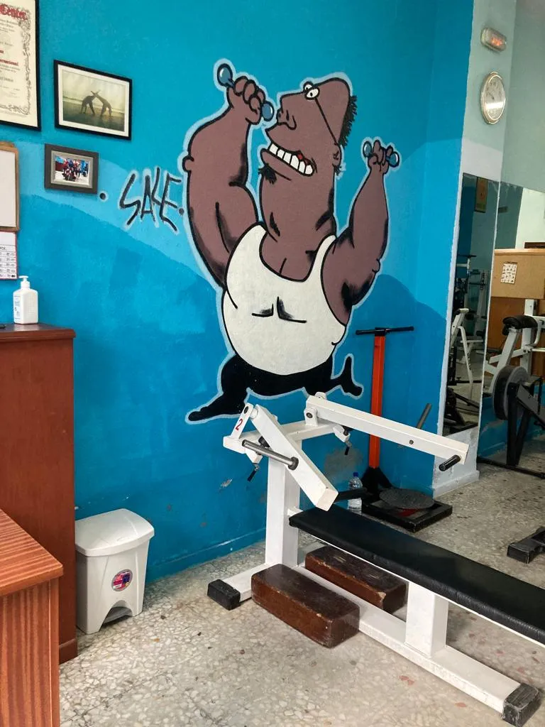 Gimnasio Paris Gym — estudio de fitness-studio en Pozoblanco — 3