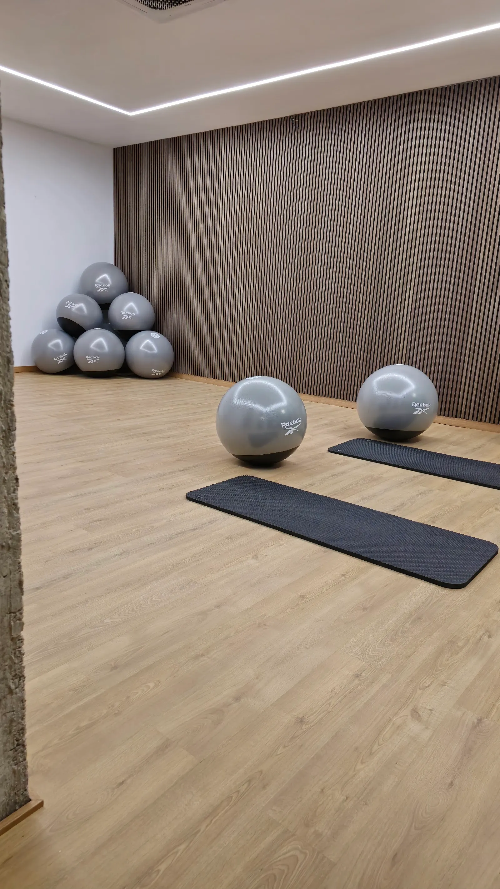 Pilates Estudio Virginia González — pilates-studio en Sevilla Este, Sevilla — 2