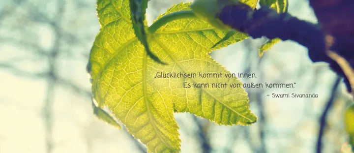 Yoga-Studio Verena Becker — yoga-studio in Reinheim-Zeilhard — 3