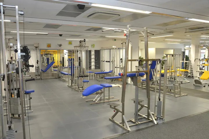 die Wirbelsäule — fitnessstudio in Annweiler — 4