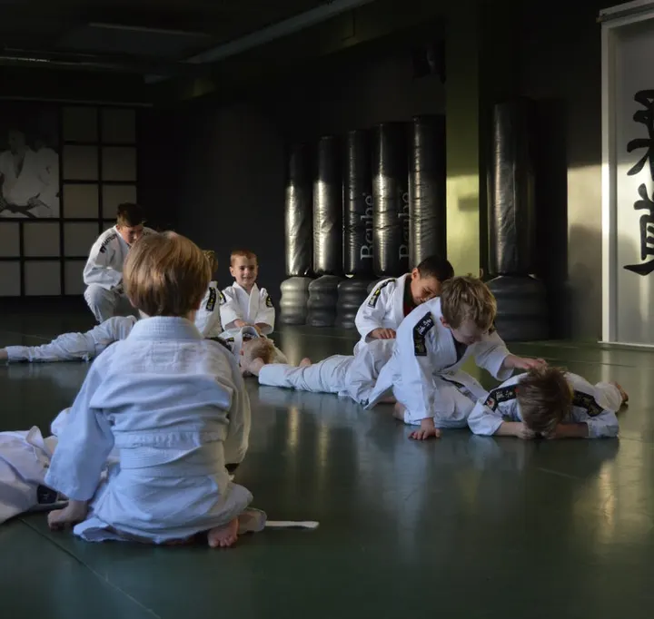 Van der Velde Judo — vechtsport-studio in Veenendaal — 3