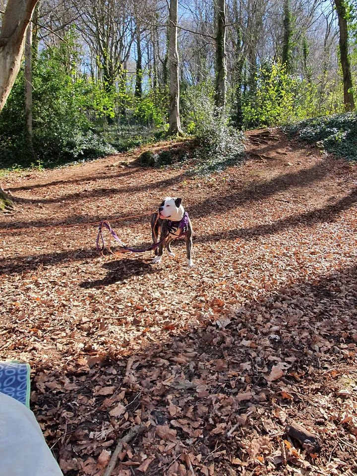 Trails Weston — Fitness Studio in Weston-Super-Mare