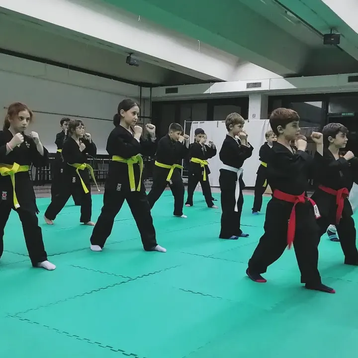 Ju-Jitsu Academy Firenze Italy — arti marziali-studio a Quartiere 4, Firenze — 2