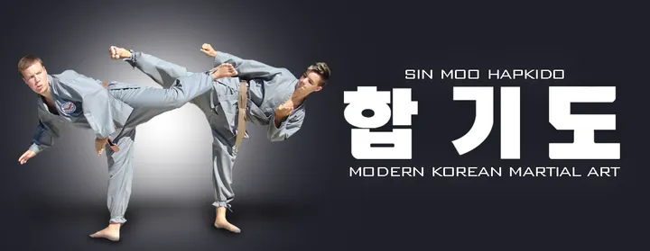 Hapkido-Finland Ry — martial arts-studio i Mellanriorna, Pori