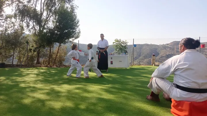 Dojo-Escuela Shorei-Kan Fuengirola — artes marciales-studio en Fuengirola — 4