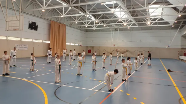 Dojo-Escuela Shorei-Kan Fuengirola — artes marciales-studio en Fuengirola — 5