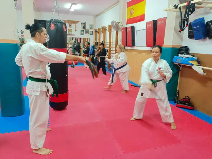 Dojo-Escuela Shorei-Kan Fuengirola — Artes marciales en Los Boliches, Fuengirola