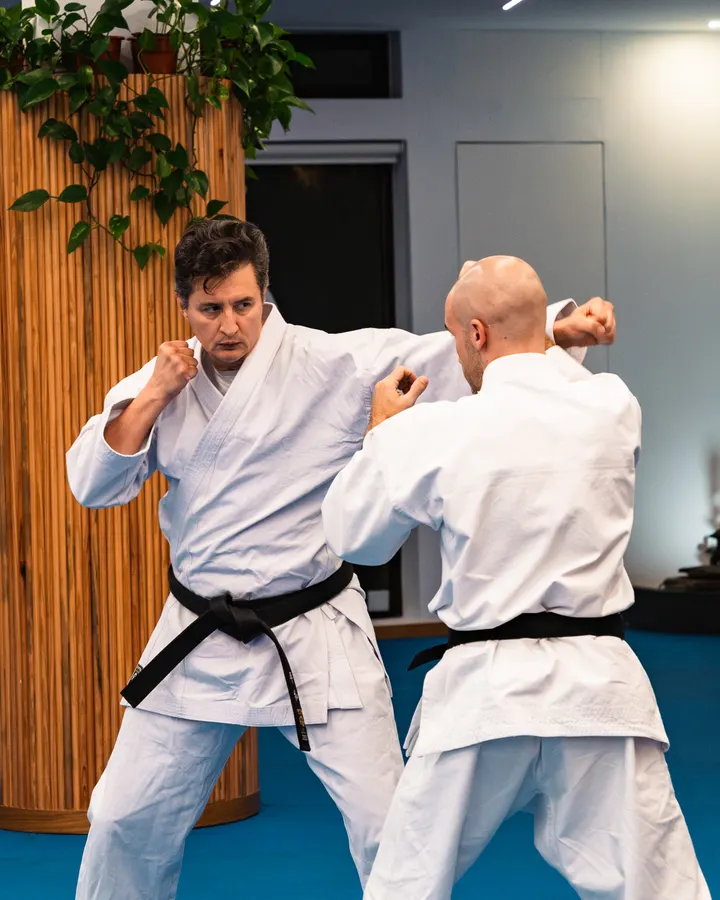 Luz de Lótus — artes marciais-studio em Ramalde, Porto — 2