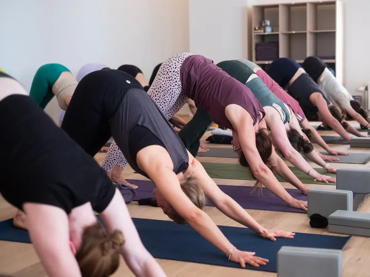 Jivamukti Yoga Stuttgart — Yoga in Rotebühl, Stuttgart
