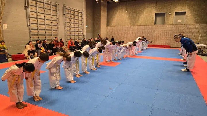 Taekwondo Eindhoven — vechtsport-studio in Woensel-Noord, Eindhoven — 2