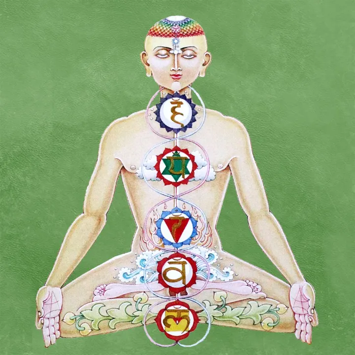 Soham Yoga — yoga-studio à Lyon — 3