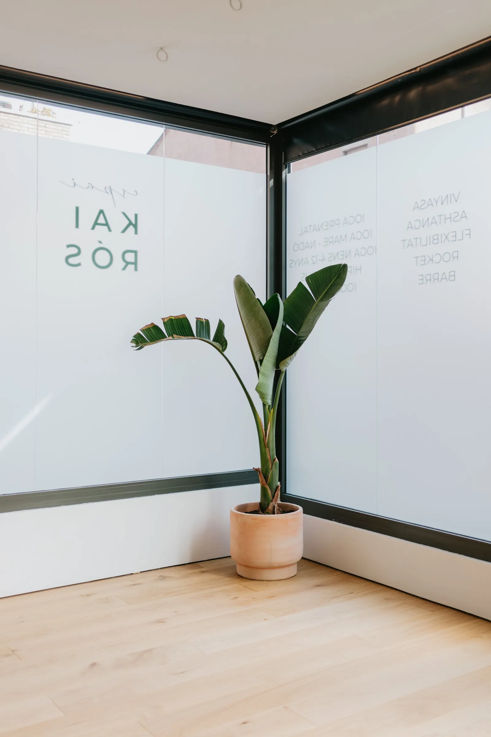 Espai Kairós — yoga-studio en Barcelona — 5
