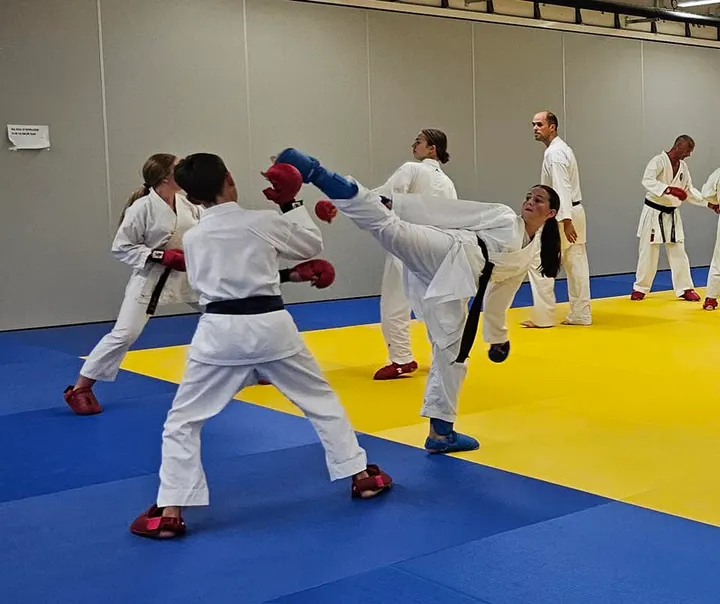Ecole de Karate Traditionnel — arts martiaux-studio à Thionville — 2
