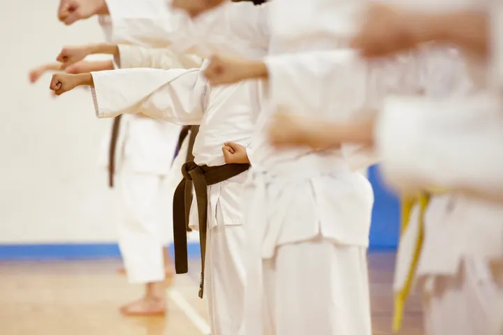 Halmstad Karate klubb — kampsport-studio i Halmstad — 3