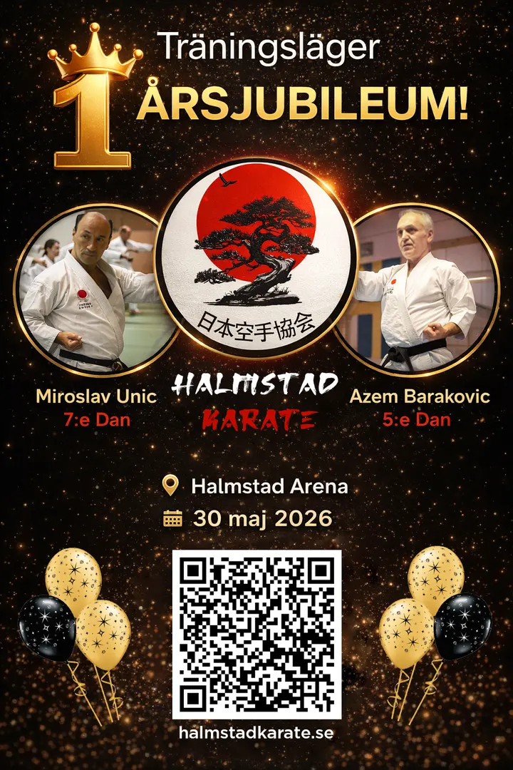 Halmstad Karate klubb — kampsport-studio i Halmstad — 4
