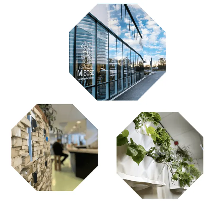 MIBOSO Sportstudio — sportschool-studio in Zuid, Groningen — 3