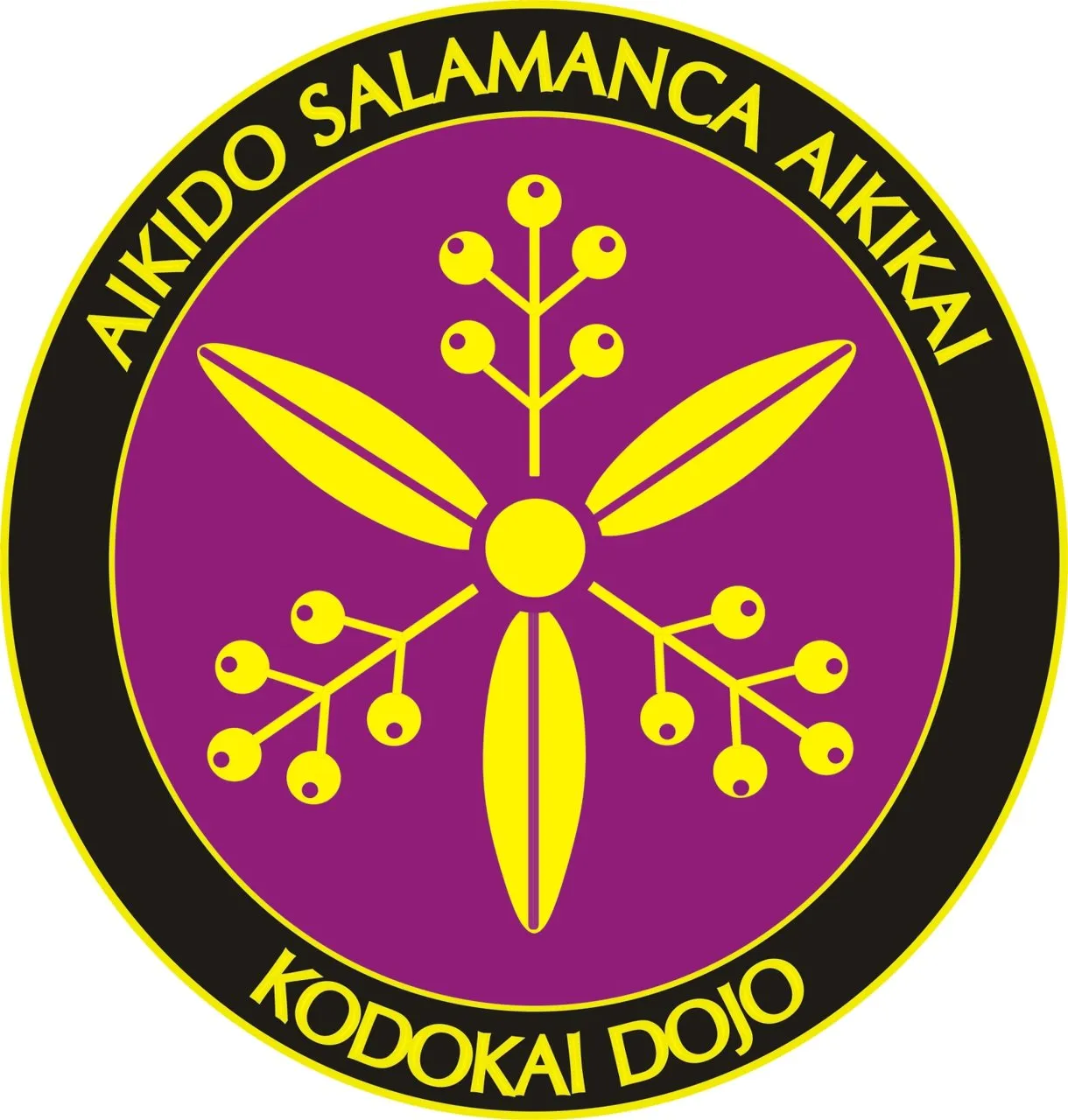 Dojo Kodokai — artes marciales-studio en Prosperidad, Salamanca — 2