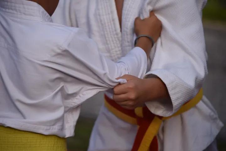 Artes Marciales Mixtas School — Martial Arts en Industrial Nuevo San Andrés, Málaga
