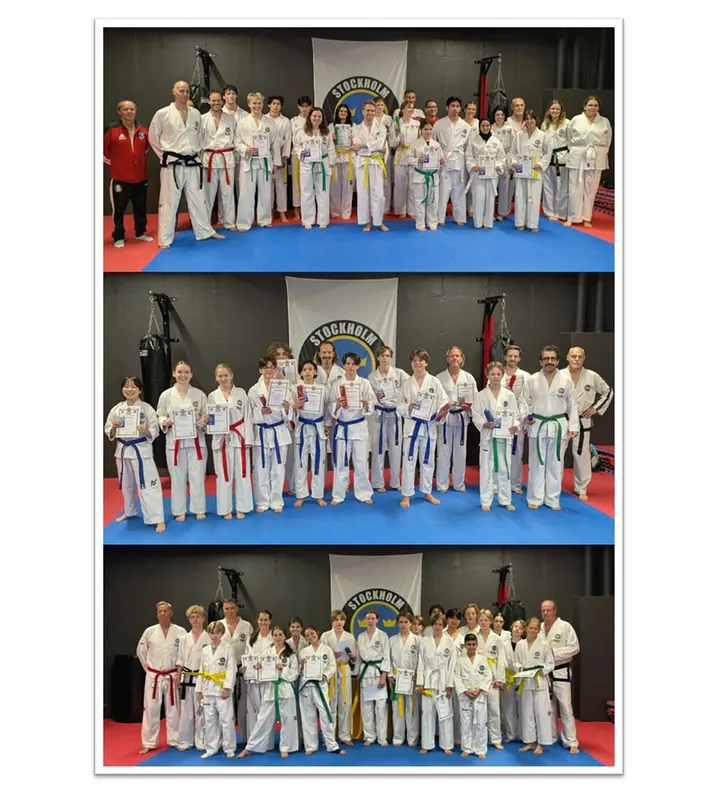 Stockholm Taekwon-Do ITF — martial arts-studio in Östermalm, Stockholm — 2