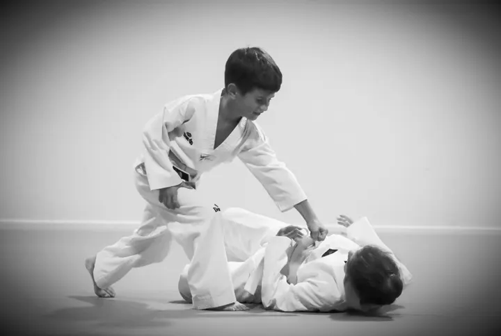 Académie Grand Lyon Et Body Fight Game — arts martiaux-studio à Dardilly, Lyon — 2