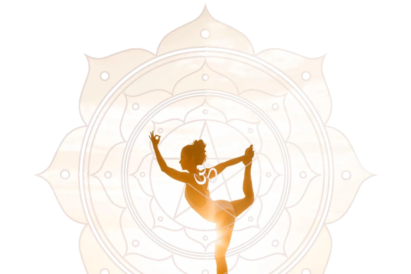 Kaula Yoga — yoga-studio i Majadahonda — bild 4