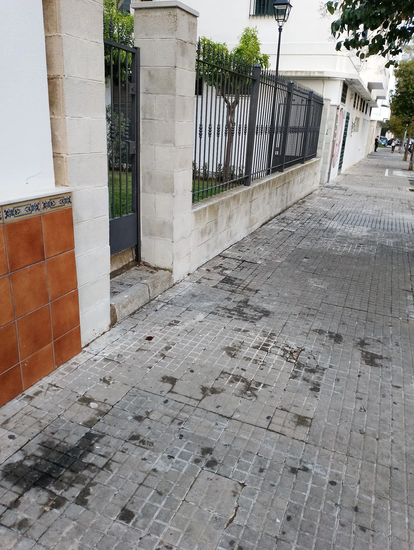 Asociación Deportiva Kyu Dan — artes marciales-studio en Jerez de la Frontera — 3