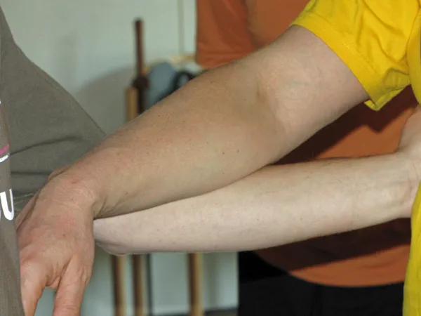 Integrales Taiji Quan (Tai Chi Chuan) — kampfsport-studio in Leverkusen-Bergisch-Neukirchen — 4