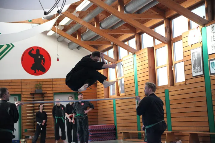 Bujinkan Wakagi Dojo Nürnberg — Kampfsport in Langwasser Südost, Nürnberg