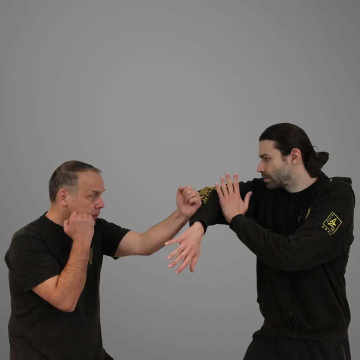 Lo Man Kam Wing Chun Kung Fu Würzburg — Kampfsport in Steinbachtal, Würzburg