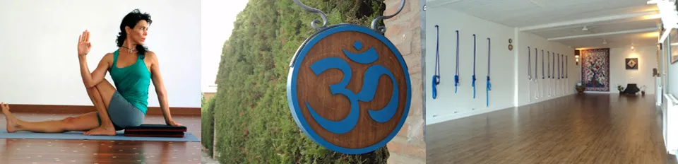 Yoga Marbella Yime Centro De Yoga Iyengar De Marbellaeste — yoga-studio i Marbella — bild 5