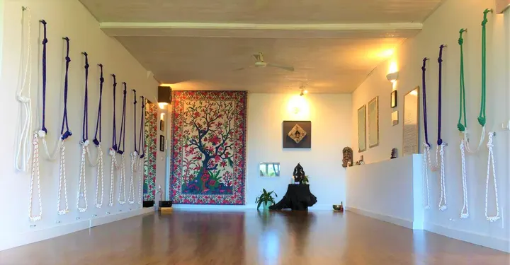 Yoga Marbella Yime Centro De Yoga Iyengar De Marbellaeste — yoga-studio i Las Albarizas, Marbella