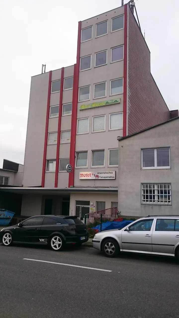 Monas orientalisches Tanzstudio — tanz-studio in Mülheim an der Ruhr — 3