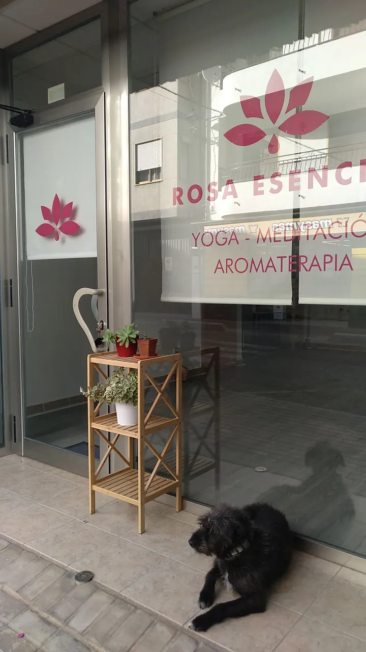 Rosa Esencial — yoga-studio en Era de la Niña, Los Villares — 2