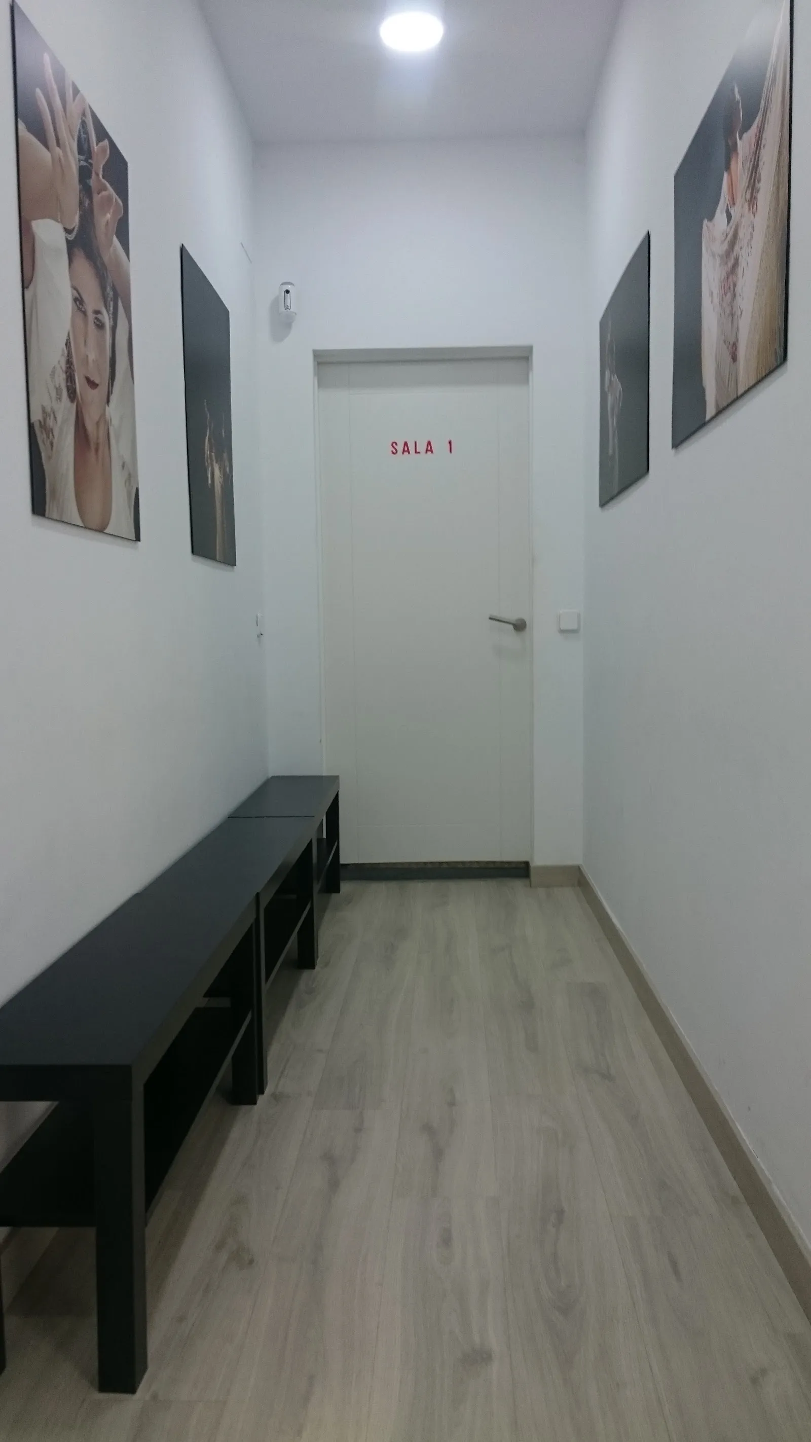 Escuela de danza Alicia Colomo — baile-studio en Fuenlabrada — 2