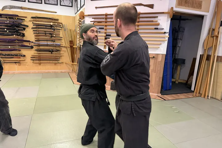 Bujinkan Dōjō Ninpō Saar — kampfsport-studio in St. Ingbert-Mitte, St. Ingbert — 3