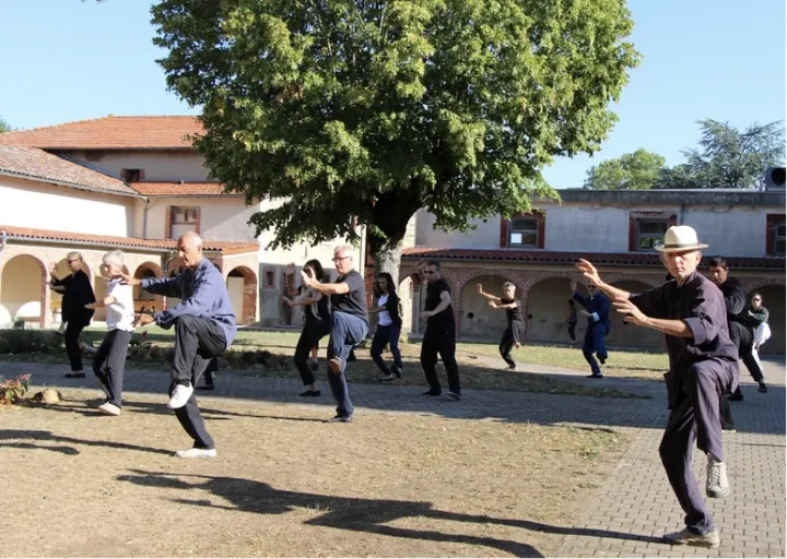 Association stéphanoise de Tai Chi Chuan — arts martiaux-studio à La Roche Bréas, Saint-Jean-Bonnefonds — 2