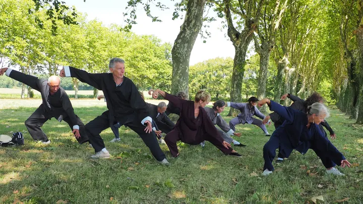 Association stéphanoise de Tai Chi Chuan — Arts martiaux à La Roche Bréas, Saint-Jean-Bonnefonds