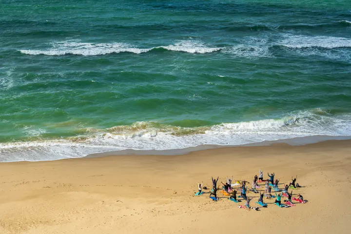 Wild At Heart Yoga — yoga-studio in Cambridge — 2