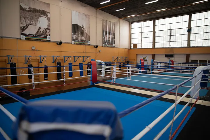 Ring Grenoblois — Boxe à Secteur 5, Grenoble