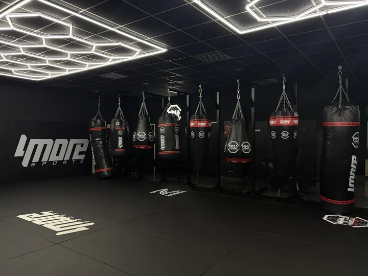 MMA MUNDIAL Kampfsportschule — MMA in Gewerbegebiet SO, Ingolstadt