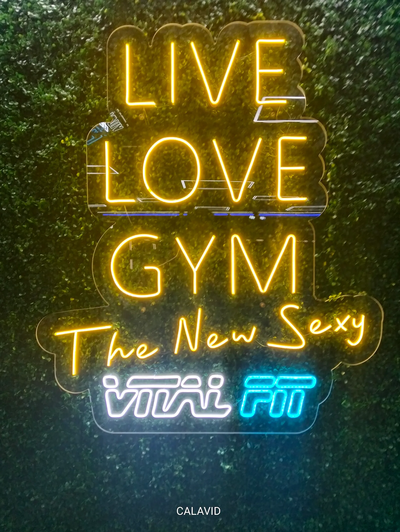 Vital Fit Gym Fortí – Palma — estudio de fitness-studio en Son Espanyolet, Palma — 2