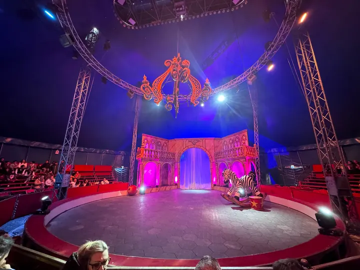 Rêves de Cirque — arts aériens-studio à Cugnaux, Toulouse — 2