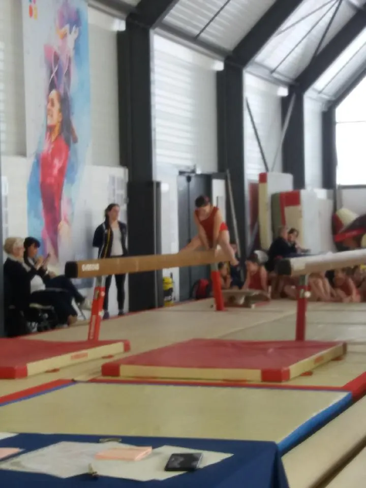 Elan Sportif Limoges Et Elfes — salle de fitness-studio au Grand-Treuil, Limoges — 3