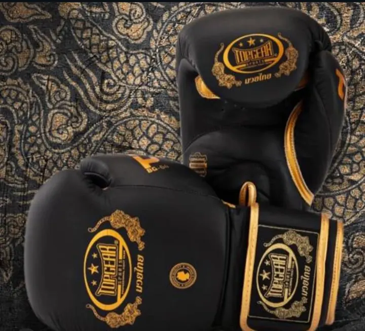 Aquinos Fight Academy — mma-studio in Kiel — 5