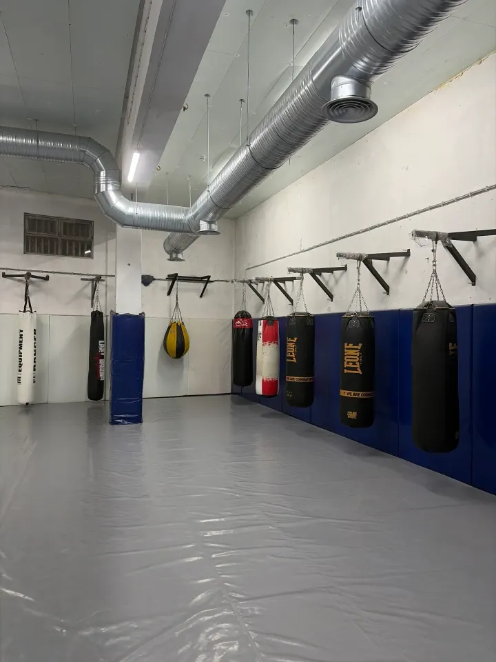 AEM — Artes marciais em Torres Vedras