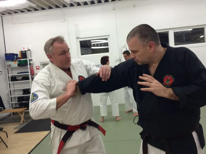 Jiujitsuklubben Ronin — bjj-studio i Svartedalen, Göteborg — 3